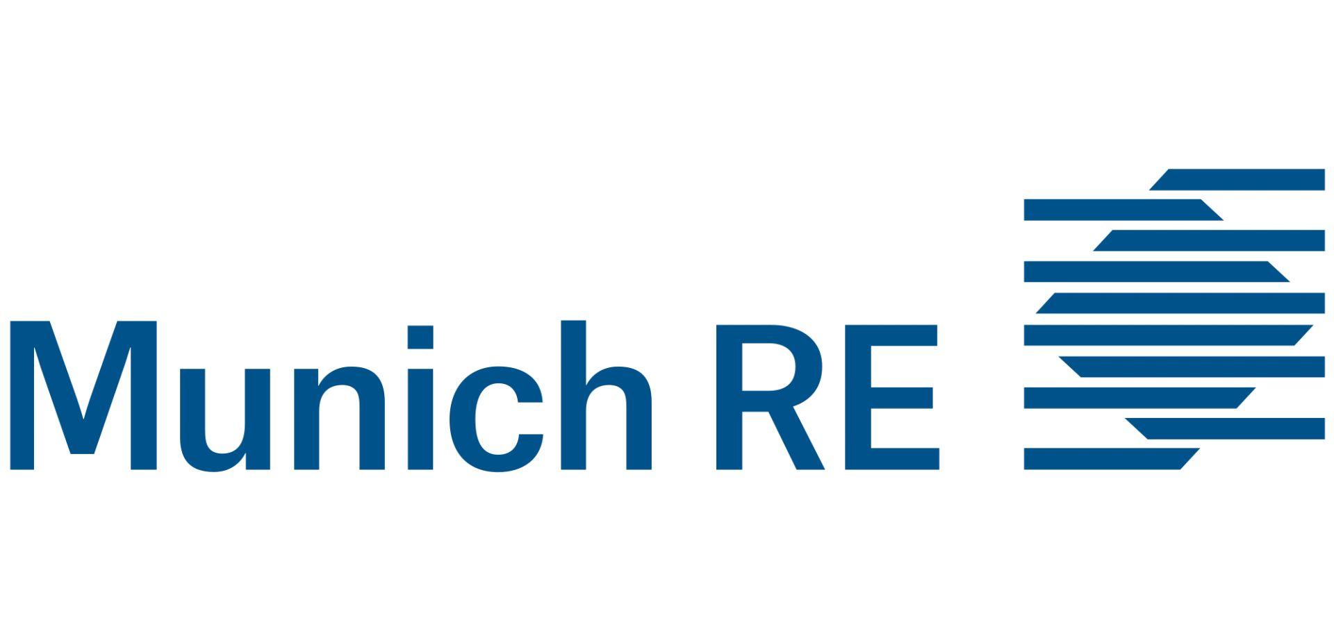 Carol Hansell Appointed to Munich Re Group Boards - Hansell McLaughlin Advisory